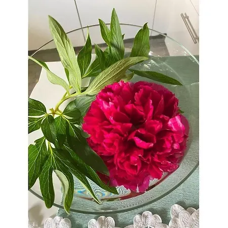 Am Wiiwegli Comfortable Semesterbostad Staufen