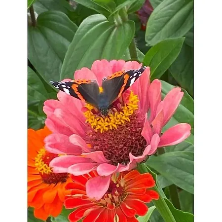 Am Wiiwegli Comfortable Staufen