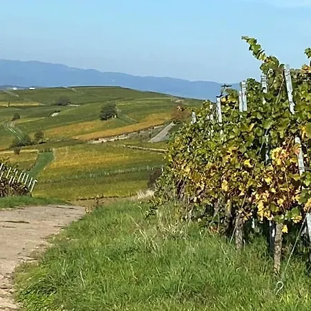 Am Wiiwegli Comfortable Semesterbostad