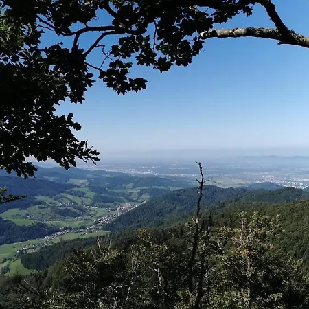 Am Wiiwegli Comfortable Semesterbostad *