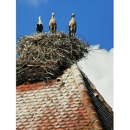 Am Wiiwegli Comfortable Semesterbostad Staufen