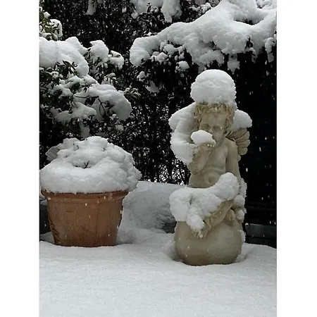 Am Wiiwegli Comfortable *