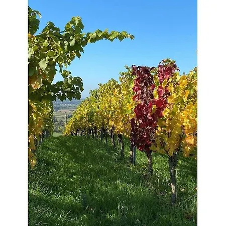 Am Wiiwegli Comfortable *